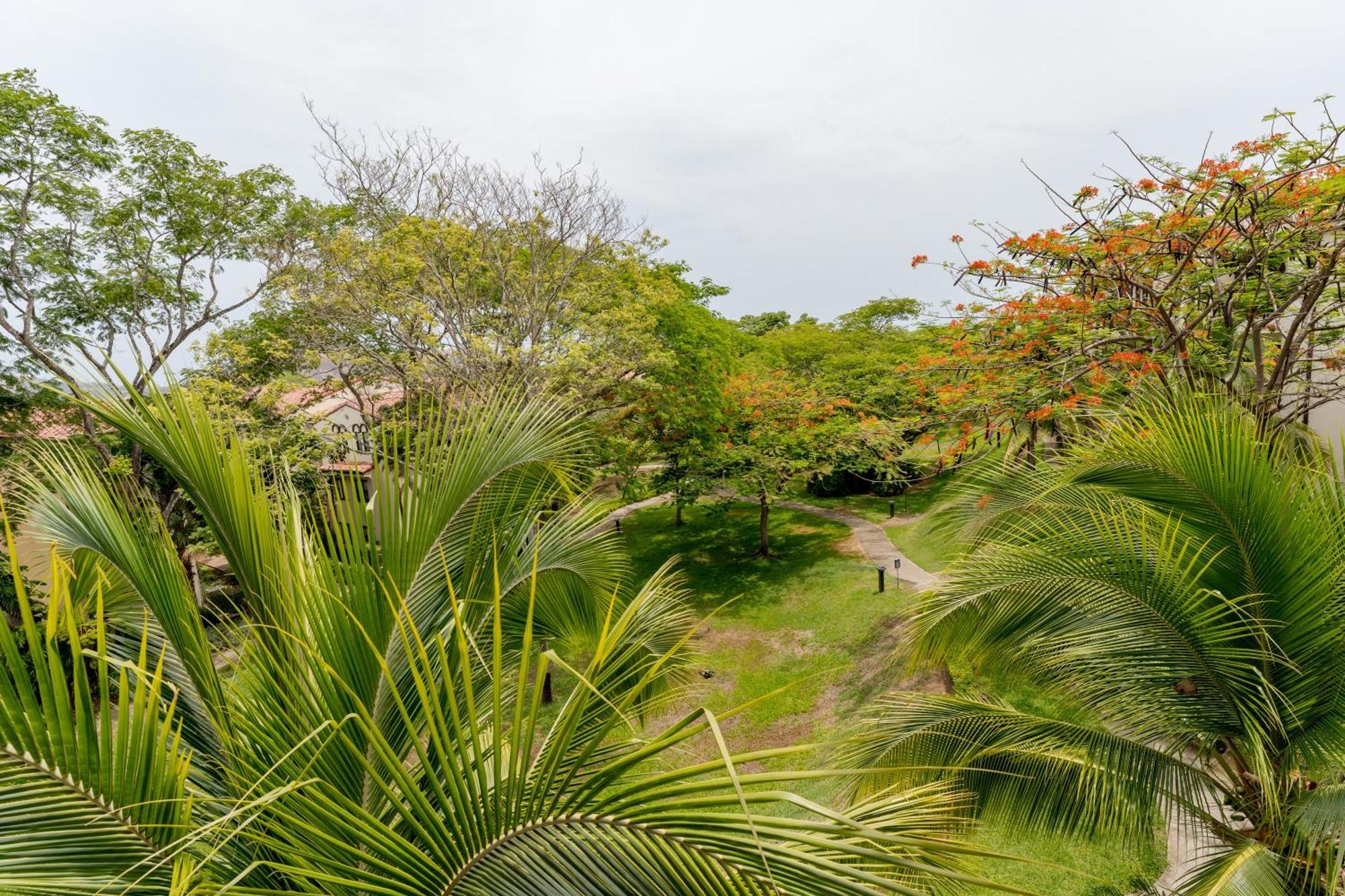 Breeze Pacific * Coco