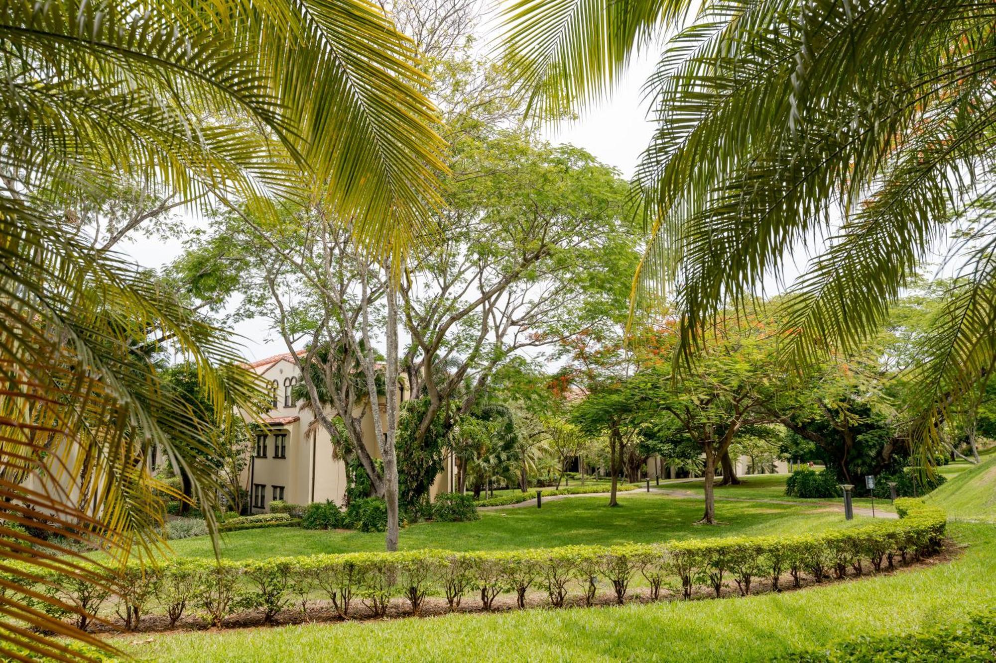 Breeze Pacific Coco